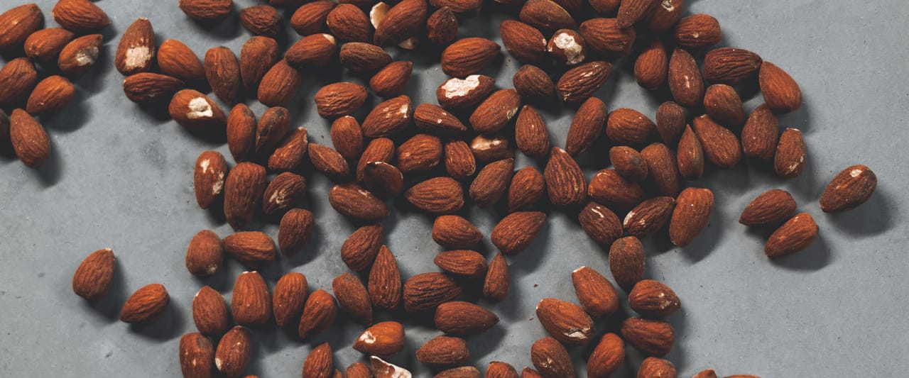 Almendras tostadas listas para los discos de molienda multi-fruto seco