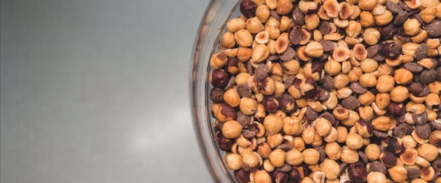 Whole hazelnuts and other nuts ready to be ground into fresh spread