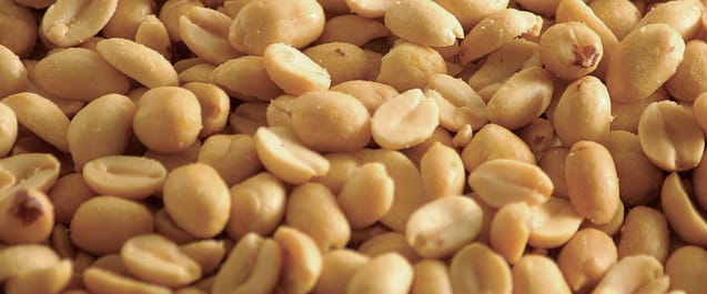 Geroosterde pinda's, de volledige ingrediëntenlijst van verse pindakaas